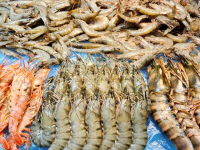 대하